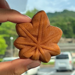 スナップ5
